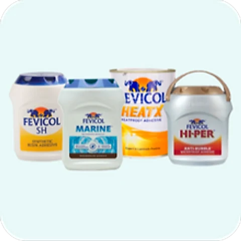 Fevicol